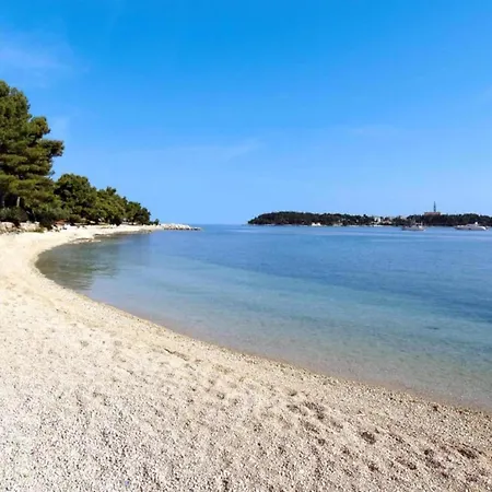 In Rovinj With Private Pool And Sea Nearby Rovinjsko Selo